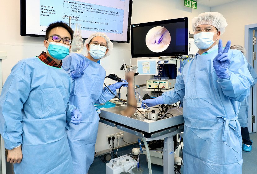 HK Wrist Course 2024 - Workshops  - 158 of 241